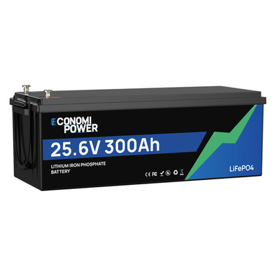 24V 300Ah LiFePO4 Akku 7680Wh Tiefzyklus Batterie 200A BMS, Solar Wohnmobil Boot