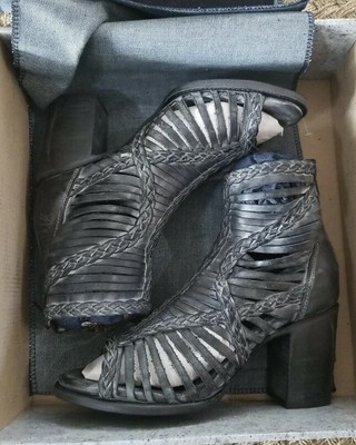 freebird by steven bela