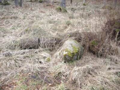 Photo 6x4 Vegetable and mineral Bridge of Canny A sawn tree trunk by a gl c2009