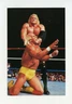 #TN07617 HULK HOGAN VS. SID JUSTICE 1999 WWF Card