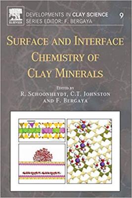 Robert Schoonheydt - Surface and Interface Chemistry of Clay Minerals  - X555z