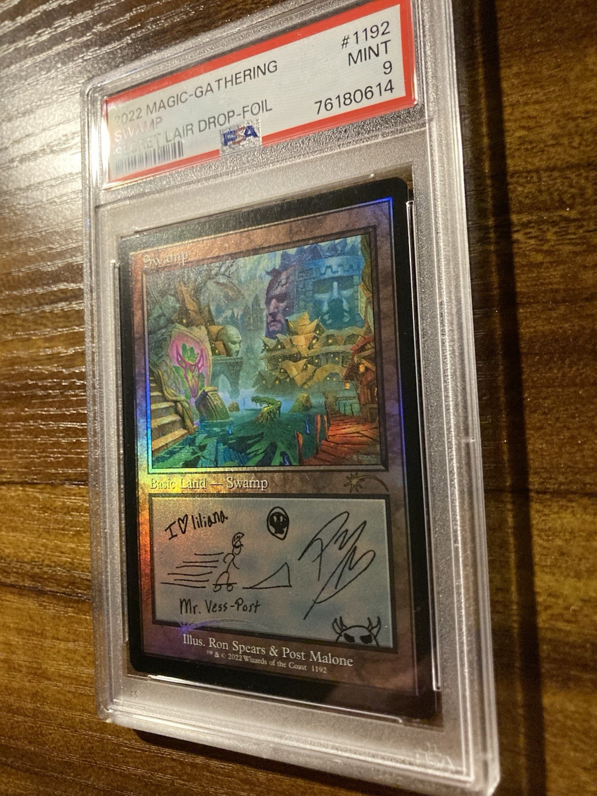 Picture 4 of 11