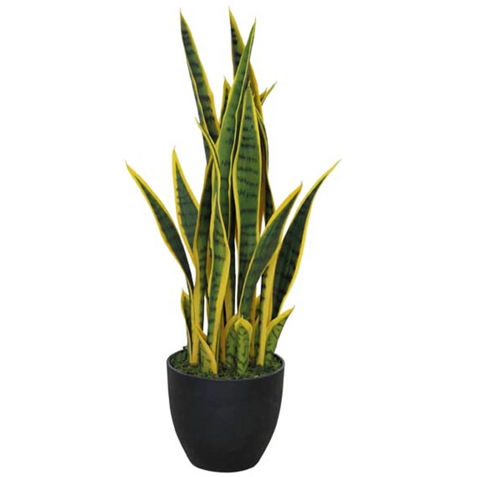 70cm Sansevieria - 70743