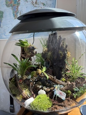 Automated Terrarium biOrb AIR 60 for Tropical Plants (in original box)