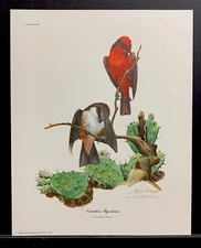 Ray Harm Limited Edition Hand Signed Print "Vermilion Flycatcher”