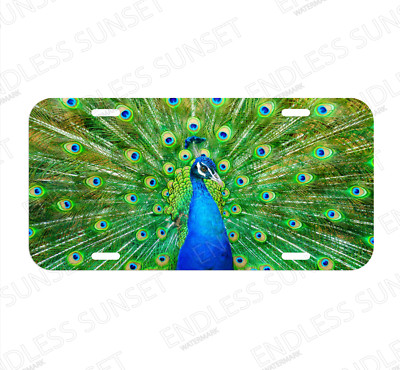 Peacock Bird Nature Pavo Beautiful Chicken Peafowl License Plate Front Auto Tag
