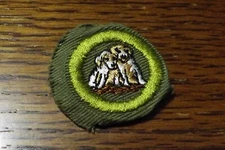 BOY SCOUT MERIT BADGE TYPE E DOG CARE UNUSED