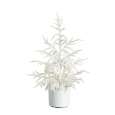 2-ft Artificial Real Touch White Norfolk Island Pine Christmas Tree with