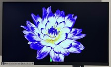 MSI PRO MP2412 23,8" Full HD Monitor 100Hz 1ms VA HDMI DP gebraucht
