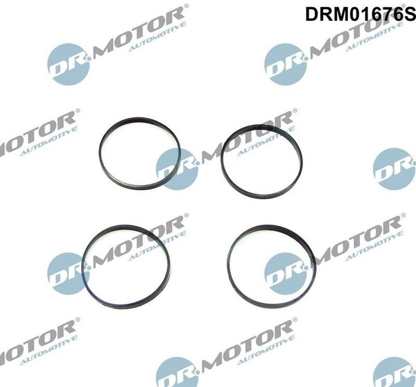 Dr.Motor Automotive Dichtungssatz, AnsaugkrüMmer DRM01676S FüR BMW-image