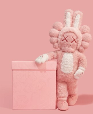 Kaws Accomplice Plush | eBay 
