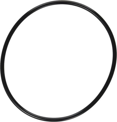 Replacement 357255 O-Ring for Pentair SuperFlo & SuperMax Pool Pumps