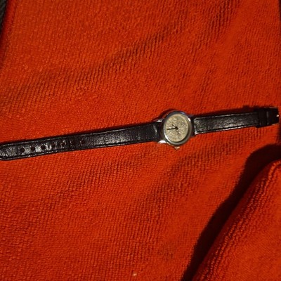 Peers Hardy 1966  Sixpence watch