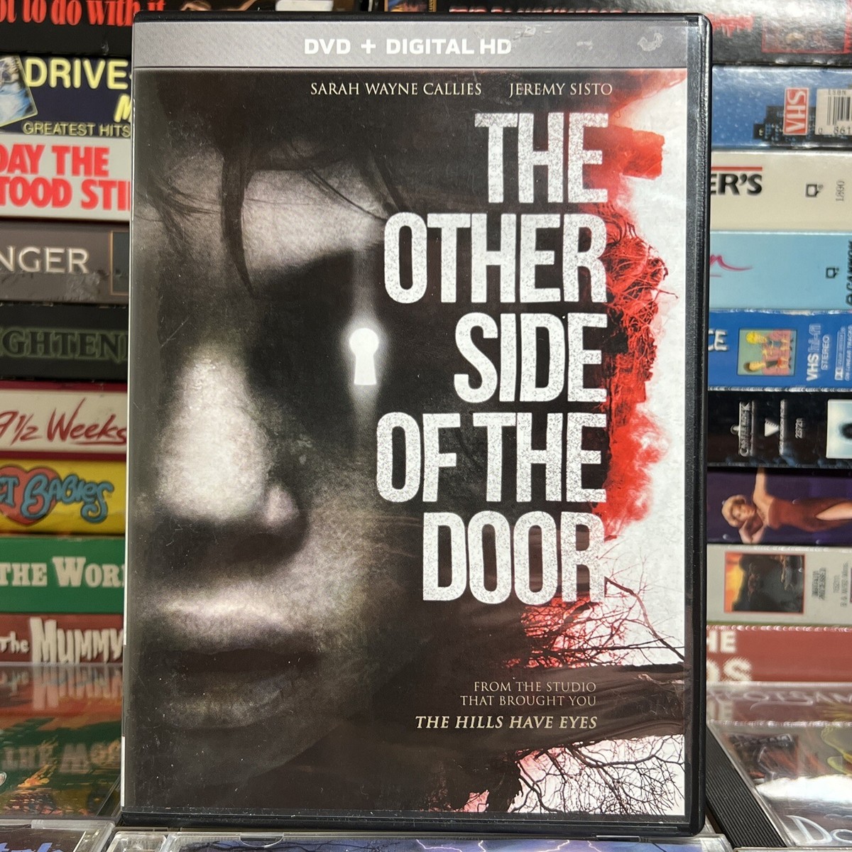 The Other Side of the Door 2016 DVD Sarah Wayne Calles