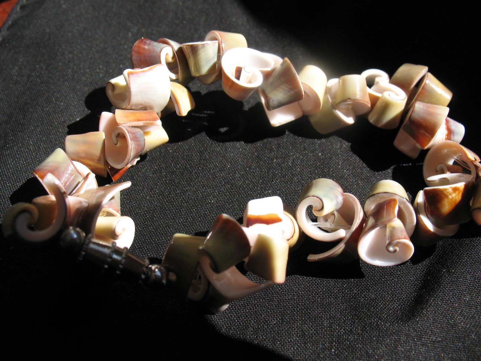 Curly Shell Bracelet Natural Shell Beachy Boho Small Barrel Clasp SMALL