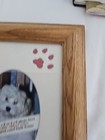 A Dog Makes A House A Home Picture Frame — photo 9