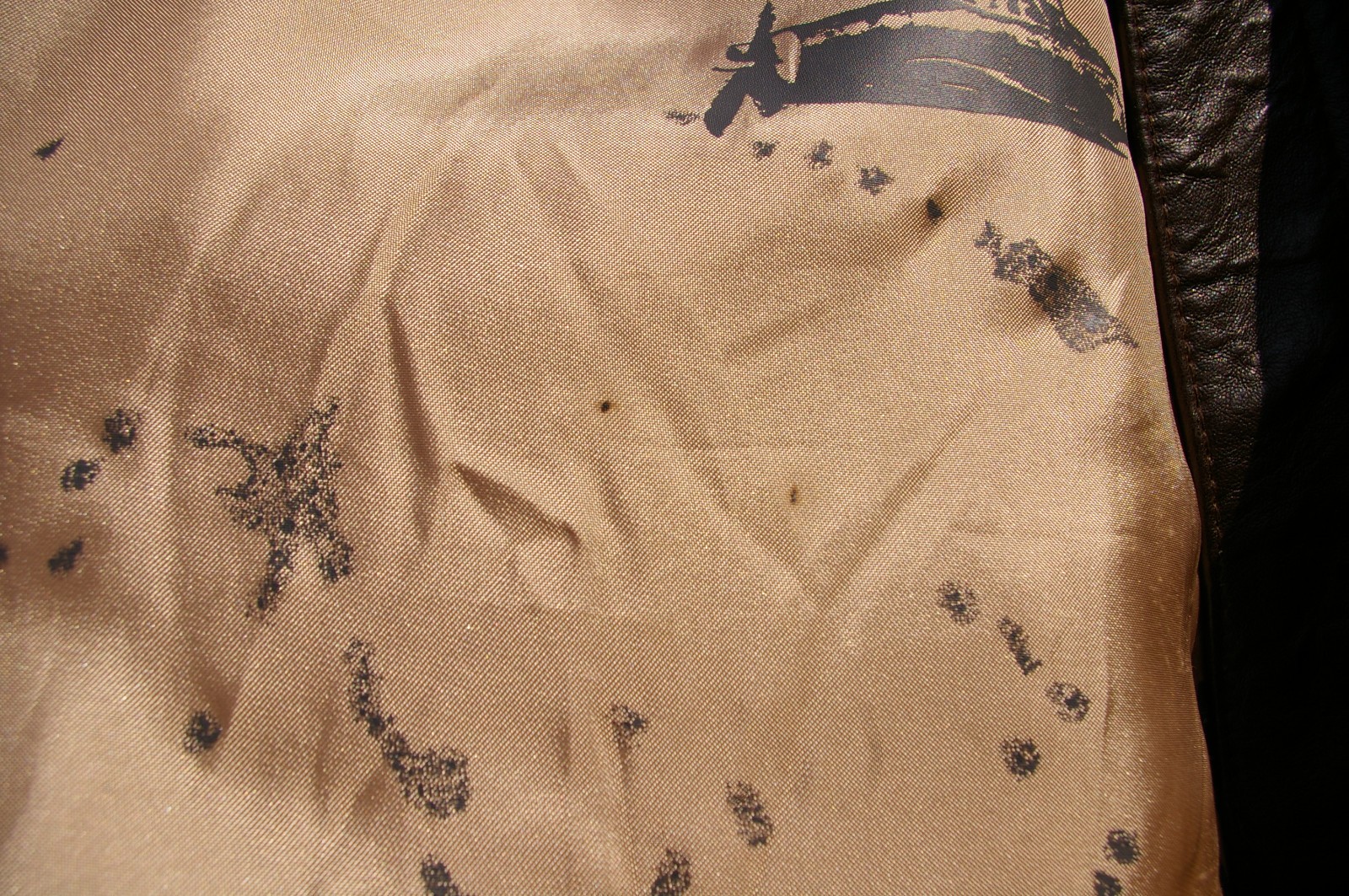 Microsoft Brown Shell 100% Leather Jacket Coat Po… - image 15