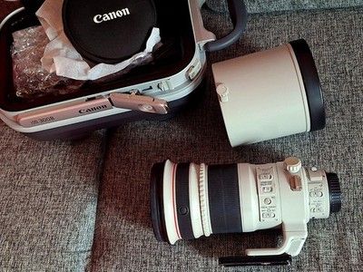 Canon EF 300mm f/2.8 L IS II USM Objektiv
