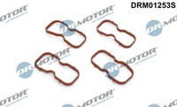 Dr.Motor Automotive Dichtungssatz AnsaugkrüMmer FüR Renault Master III Kasten