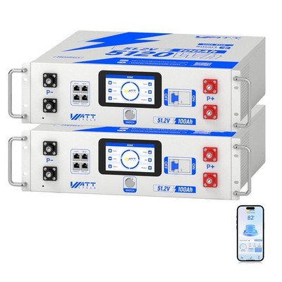 2Pack 48V 100Ah LiFePO4 Server Rack Lithium Expansion Battery for Ecoflow Delta2