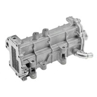 NTY KüHler AbgasrüCkfüHrung FüR Fiat Ducato Pritsche/Fahrgestell 250 160