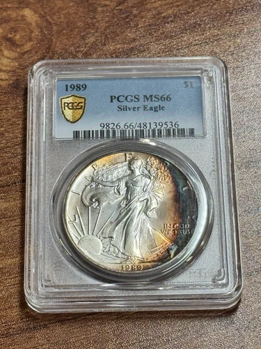 1989 American Silver Eagle Graded PCGS MS66 Monster Toning Toned Coin (Slab1052)