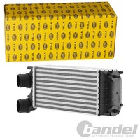 Hella LadeluftkÜHler TurbokÜHler Passend FüR CitroËN Berlingo C4 DS4 DS5 DS DS