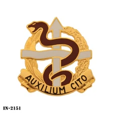 36th Medical Battalion ~ Auxilium Cito ~ DUI Crest Pin ~ NEW ~ Vanguard ~ USA