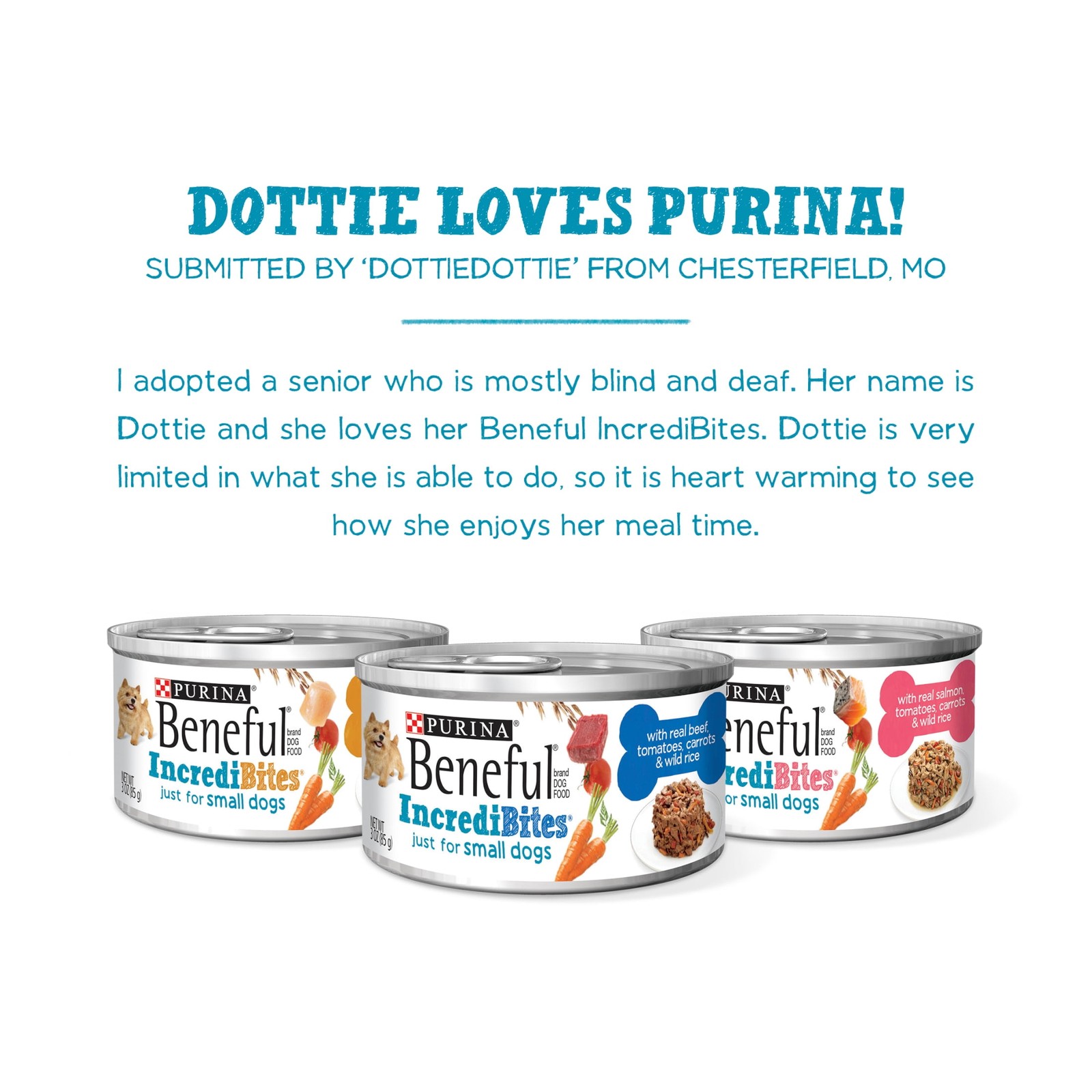 Small breed wet dog food combo pack, containing real beef, chicken and salmon.