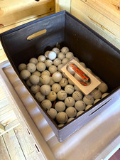 Titleist Pro V1 White Recycled Golf Balls Bulk Lot for Golf Practice