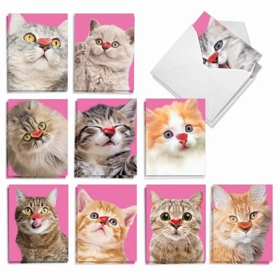 - 20 Assorted Boxed Valentine's Day Note Cards with Envelopes (4 x 5.12 Inch)...