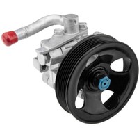 NTY Hydraulikpumpe Lenkung Servopumpe FüR Hyundai Santa Fé I SM 2.0 Crdi 4X4
