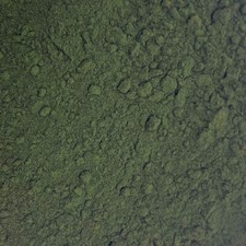 Chlorella Powder BULK HERBS 1 lb 16 oz 