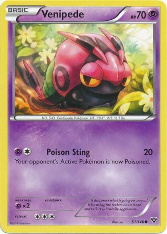 Venipede - 51/146 - Common (Lp) XY Base Set - Psychic Pokémon