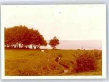 50965311 - 2333 Gross Wittensee Photo Print