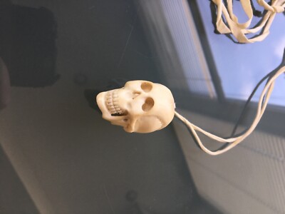 vintage ann demeulemeester skull pendant RARE | eBay vintage ann demeulemeester skull pendant RARE | eBay