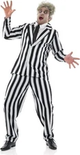 Men`s Beetlejuice Costume Adult Striped Mad Man Suit Horror Film Halloween