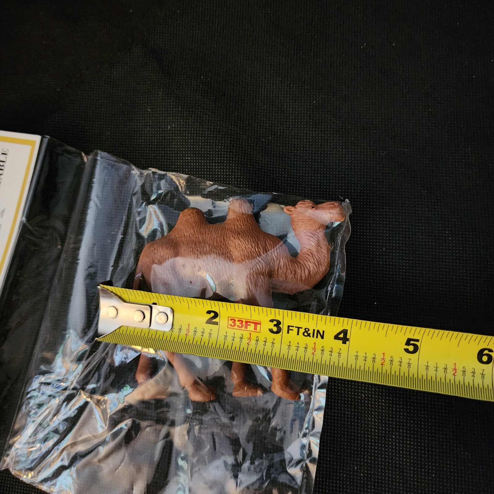 Picture 6 of 6