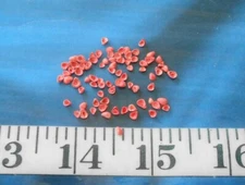 ~ Lilac Shells ~ 100 ~ Deep Coral ~ Vintage ~ Shellcraft ~ Sailor's Valentines ~