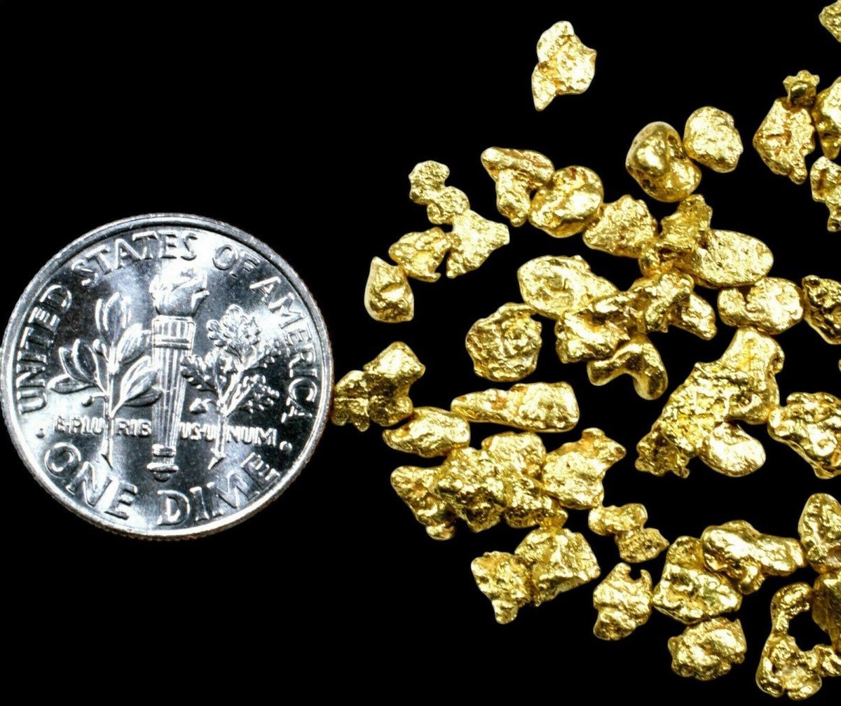 0.500 Grams Alaskan Yukon Bc Natural Pure Gold Nuggets #10 Mesh Free