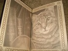 New Lisa Parker Notebook , Journal, Diary Blank Pages The Fortune Teller — photo 2