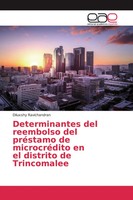 Determinantes Del Reembolso Del PréStamo De MicrocréDito En El Distrito De...