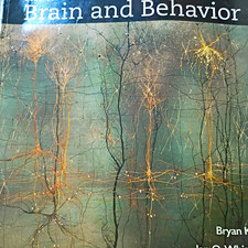 Brain and Behavior Textbook by Bryan Kolb and...