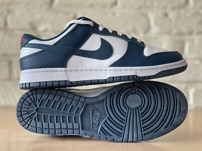 Nike Dunk Low Retro Valerian Blue/White Basketball Shoes Men Size 8 DD1391-400