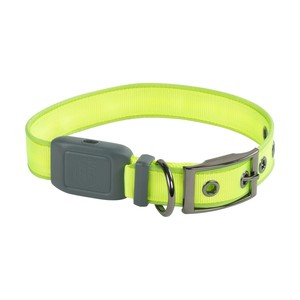 nite ize dog collar light