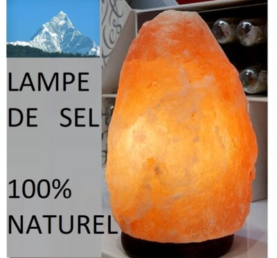 Lampe En Cristal De Sel De L'Himalaya / Sel Rose Purifiante 2-3kg