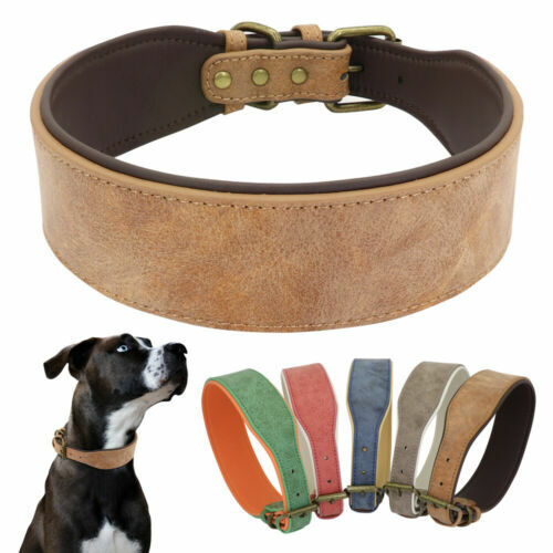 ROTES Leder-Hundehalsband Mit Nieten – Verstellbar 40-46 Cm, Robust & Gepolstert