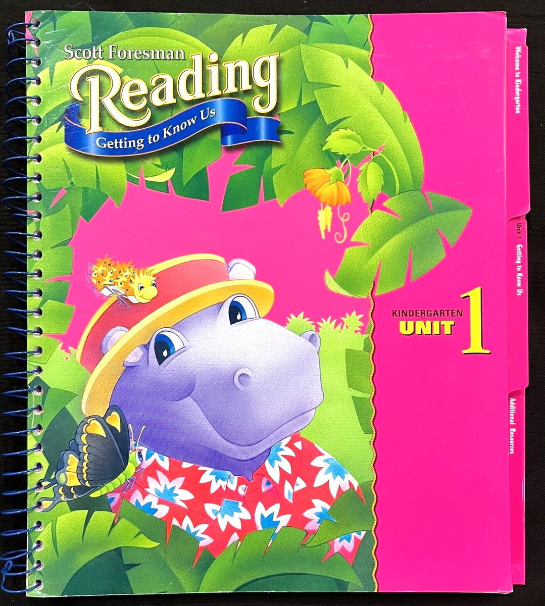 Kindergarten -Scott Foresman READING 