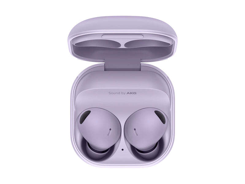 Samsung Galaxy Buds2 R177 (Used) + Free 2 Day Shipping | eBay