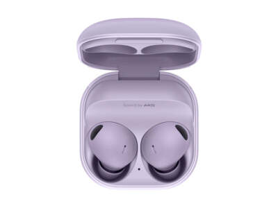 Samsung Galaxy Buds2 R177 (Used) + Free 2 Day Shipping | eBay